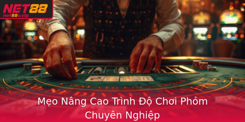 Mẹo Nâng Cao Trình Độ Chơi Phỏm Chuyên Nghiệp
