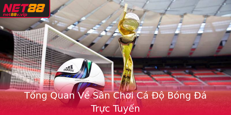 Tổng Quan Về Sân Chơi Cá Độ Bóng Đá Trực Tuyến
